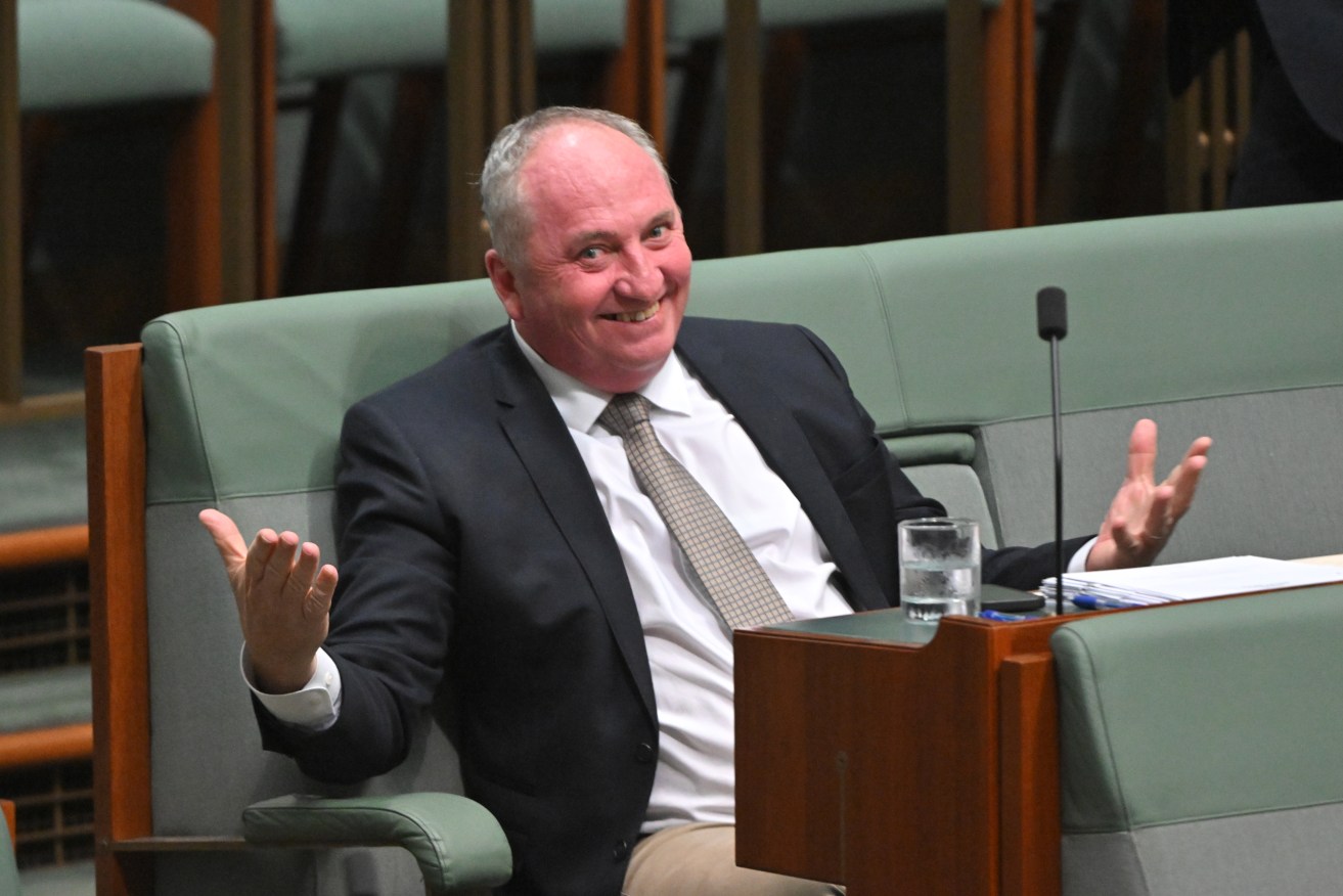 Barnaby Joyce says a One Nation candidate's homophobic comments did not represent the party.