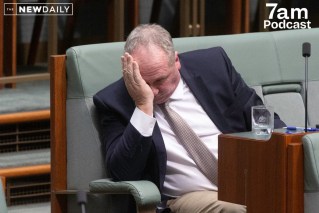 Immigration, gambling and Australia’s 'gayest party'