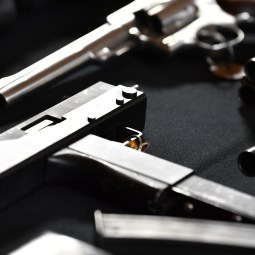 NSW launches historic gun buyback reform