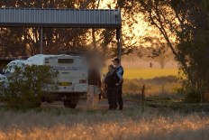 Hundreds arrested, guns seized in major DV blitz