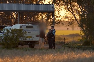 Hundreds arrested, guns seized in major DV blitz