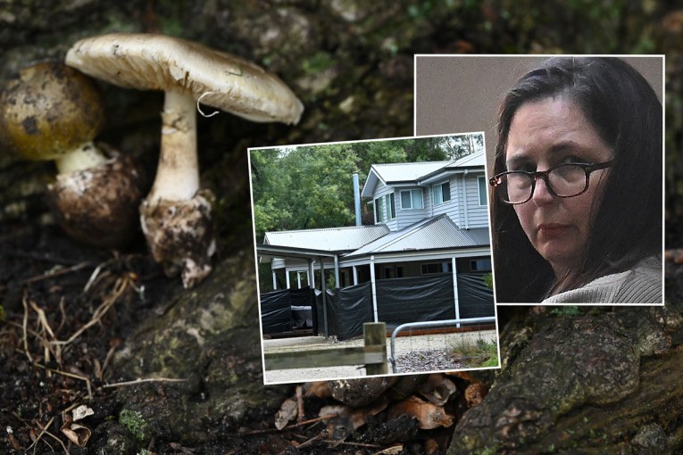 Jury hotel decision ‘catastrophic’ to mushroom trial