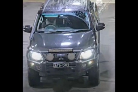 Search for man allegedly shot and bundled into ute
