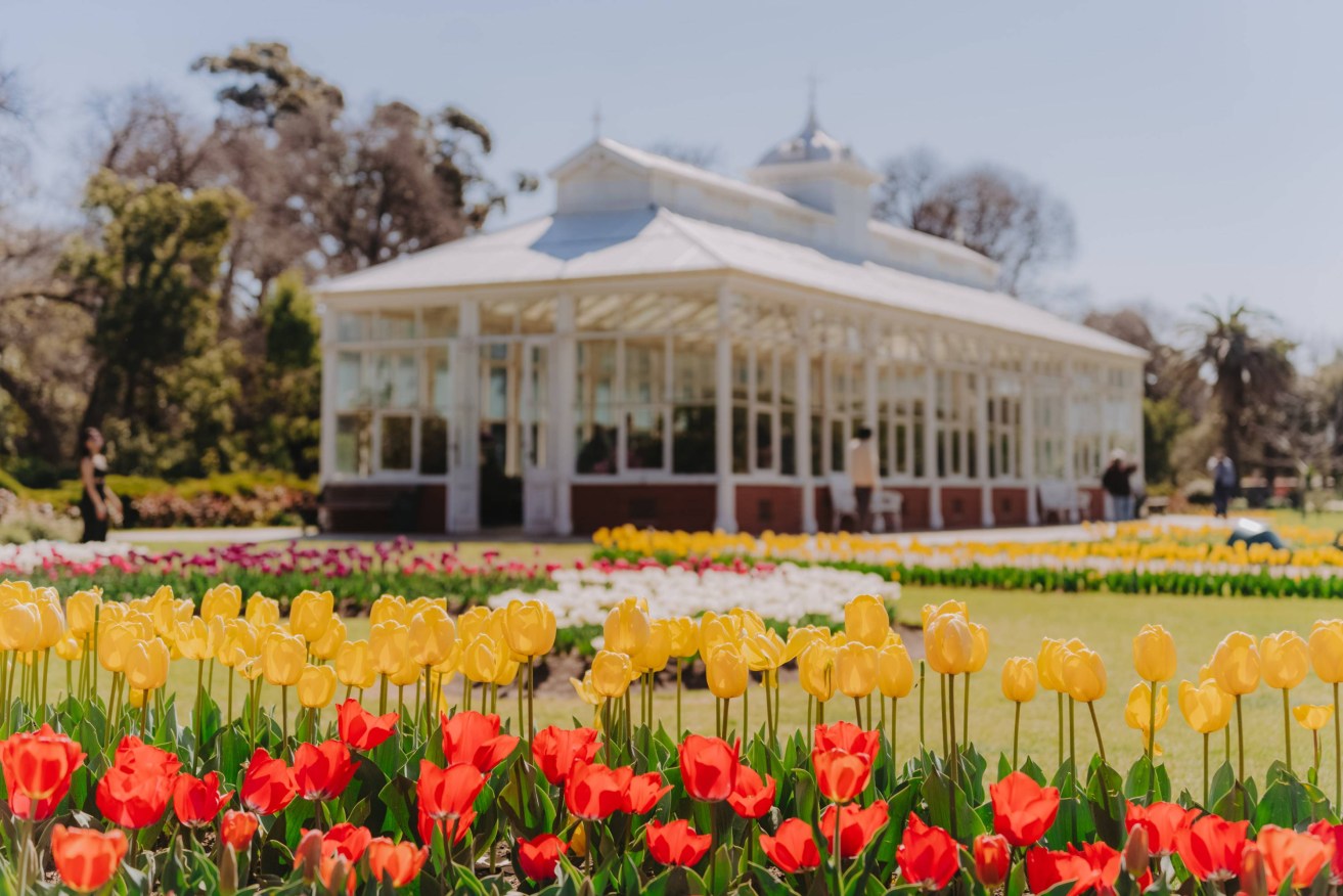 Spring bursts into colour across Bendigo, inviting visitors to turn a day trip into a weekend escape. 