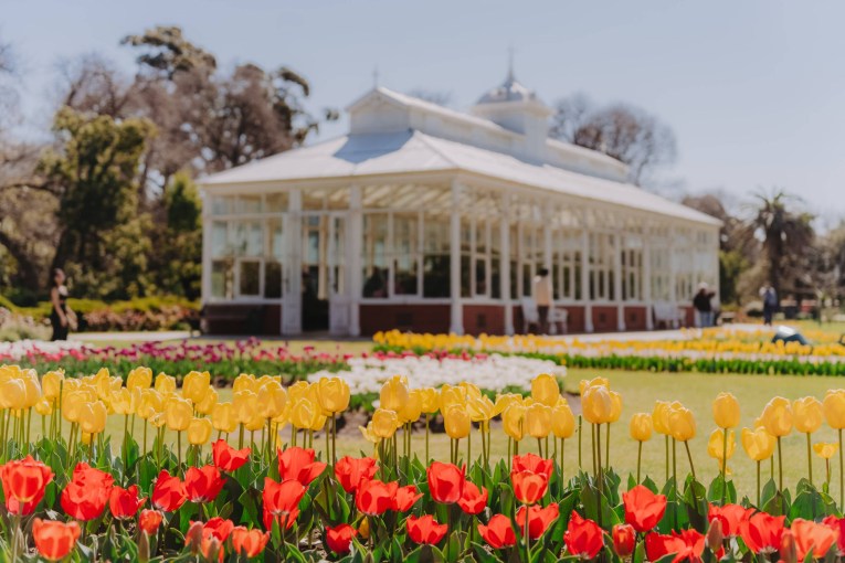 Spring events in the Bendigo Region: what to see, eat and explore
