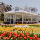 Spring events in the Bendigo Region: what to see, eat and explore