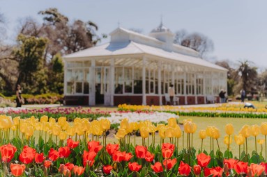 Spring events in the Bendigo Region: what to see, eat and explore