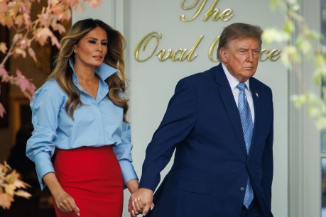 'I heard you missed me’: Melania reappears