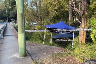 Woman allegedly raped on walk in leafy suburb