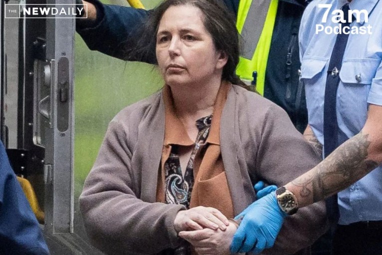 ‘Inflicted untold suffering’: Erin Patterson appeal