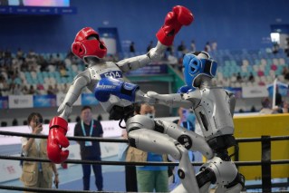 Humanoid robots smash records – and themselves