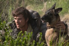 Critics roast Jacob Elordi's latest movie