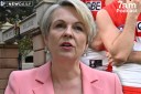 Plibersek on Swans, Scots College and misogyny
