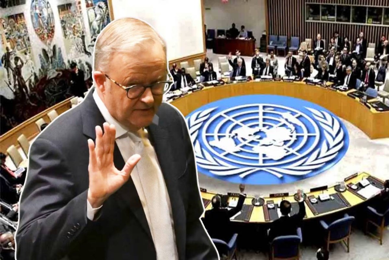 A Security Council seat would be the icing on the international cake for the Albanese government.