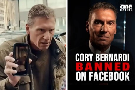 Social media site bans SA One Nation leader