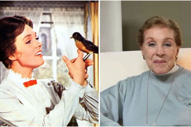 Dame Julie Andrews makes big screen call