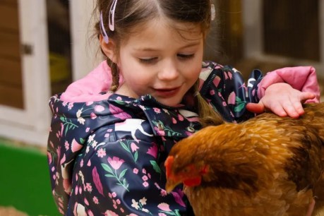 Birds a no-show at popular event as avian flu spreads