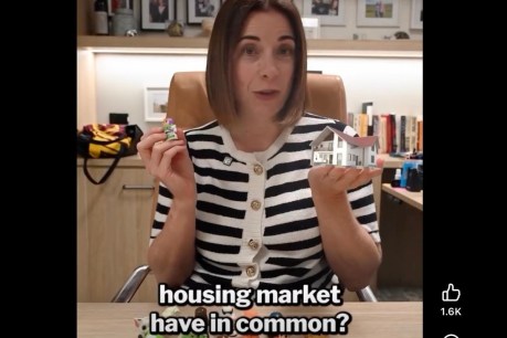 Minister compares housing crisis and Ooshies