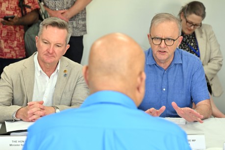 'Chaos is the point': Labor's giant One Nation error
