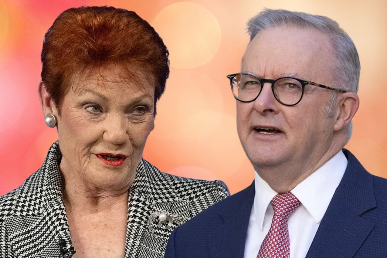 Anthony Albanese's popularity has dropped to its lowest since he was elected as PM, while Hanson is still riding high.