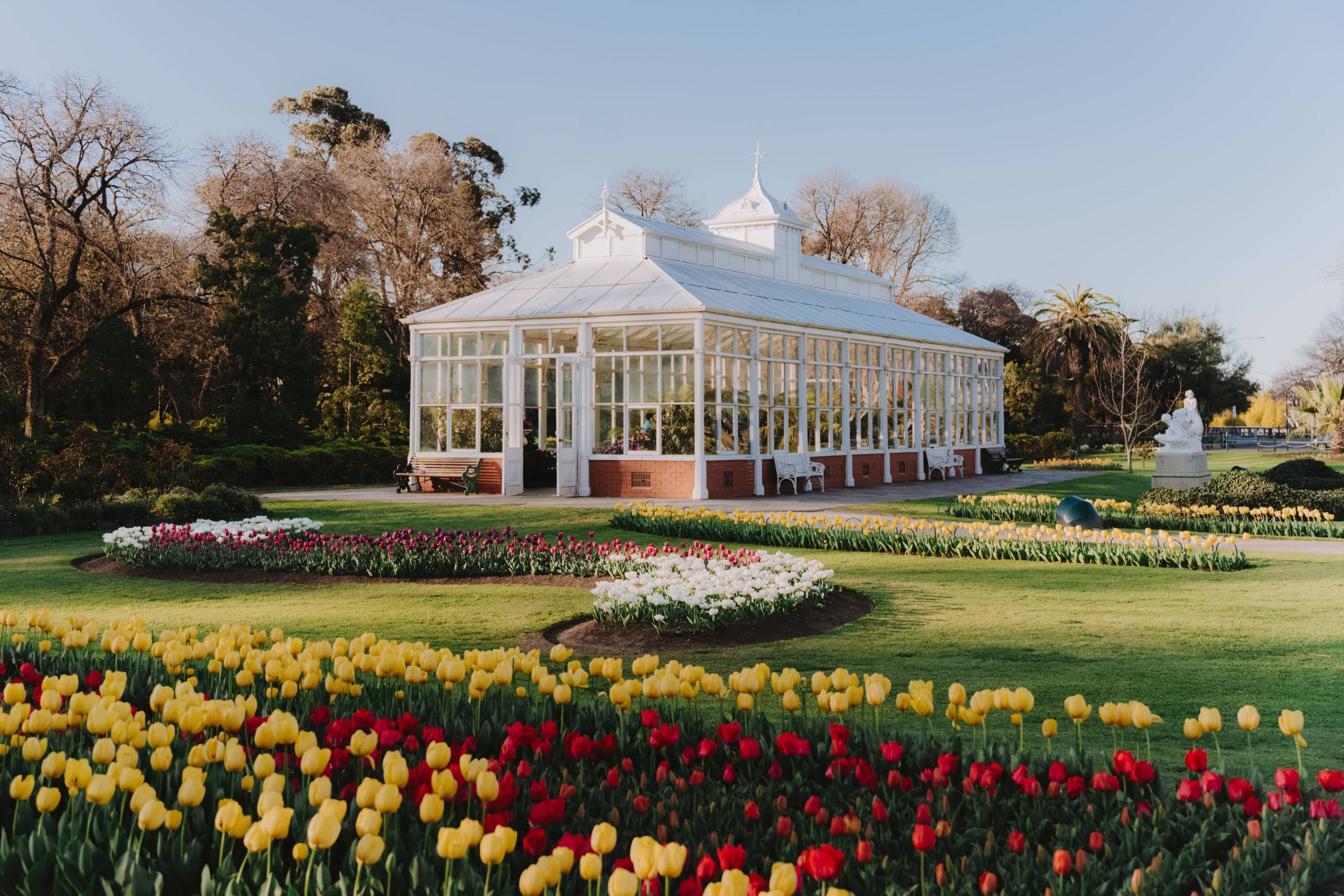 Bendigo Bloom