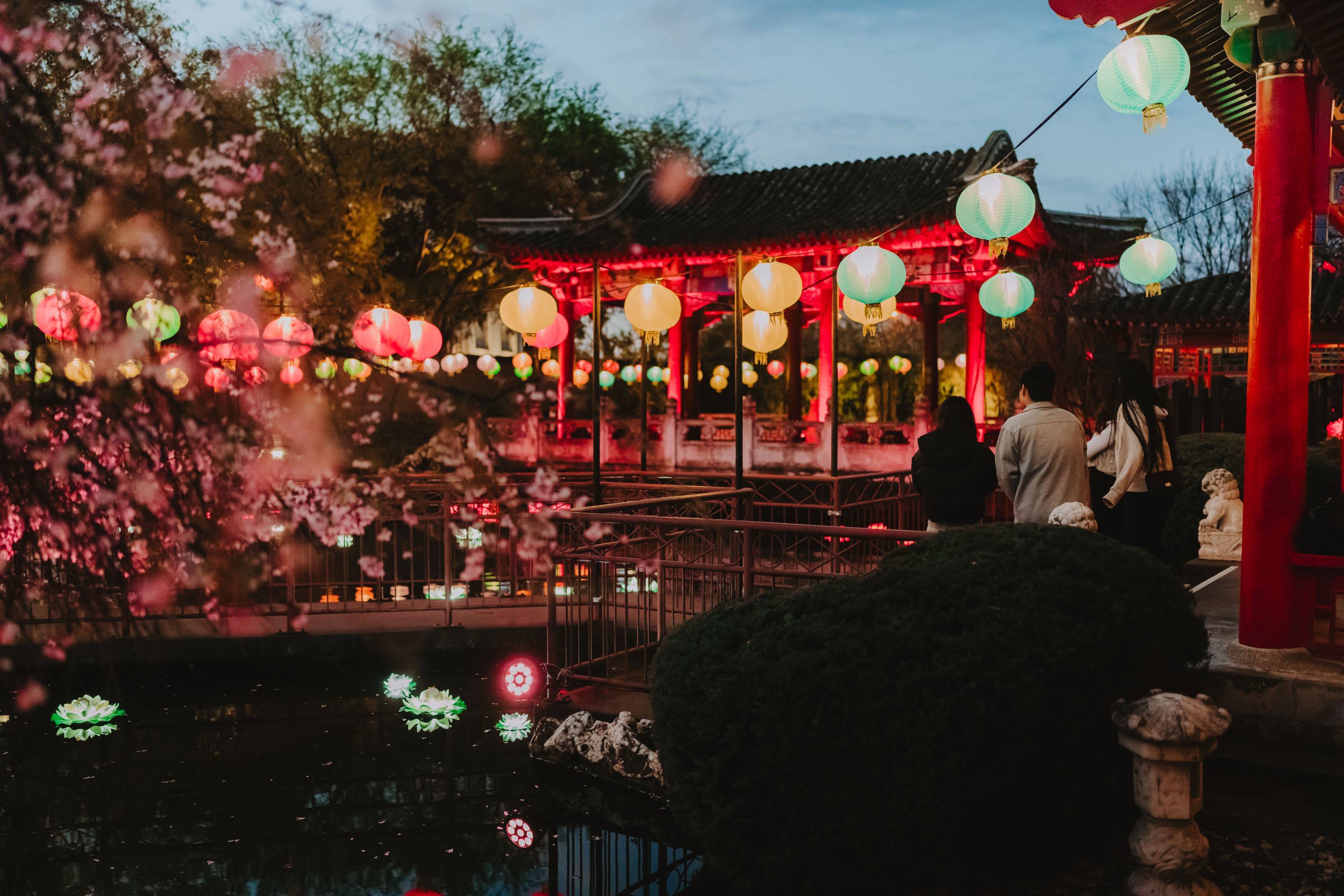 Bendigo Bloom