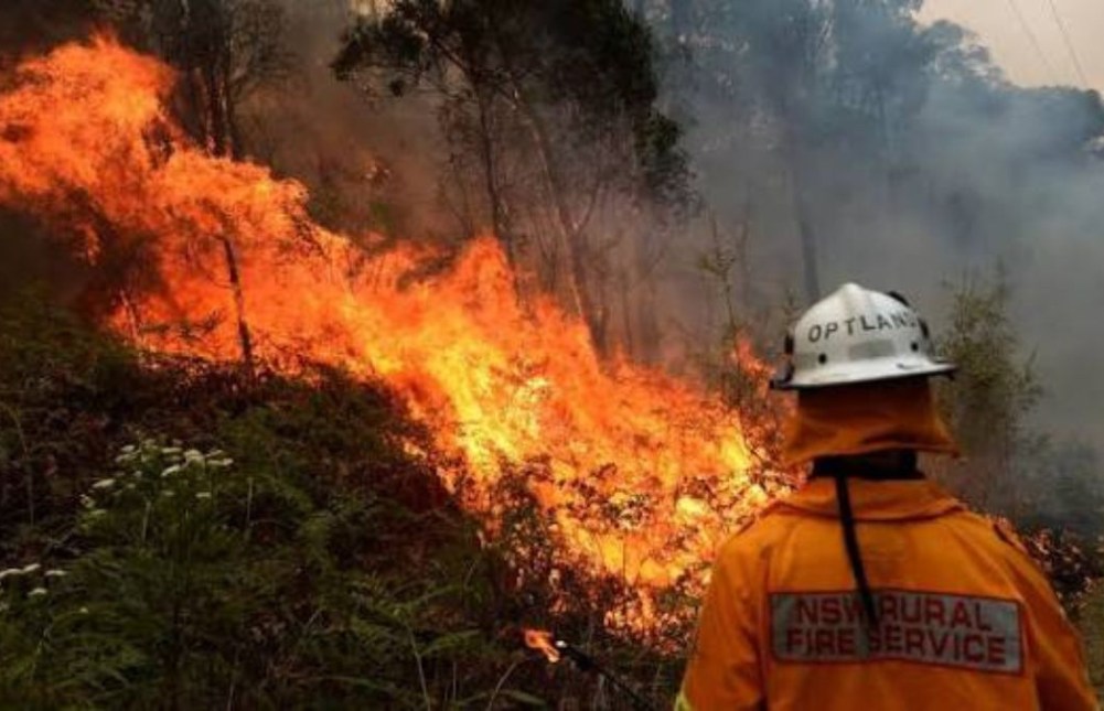 NSW fire ban