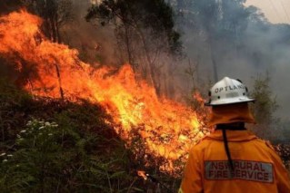 Bushfire cost to hit $6 billion a year as former fire chiefs warn on El Niño risks