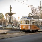 Spring has sprung: Eight ways to experience Bloom across the Bendigo Region