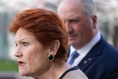 One Nation super plan 'economically disastrous'