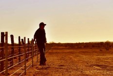 What record El Niño will mean for world’s weather