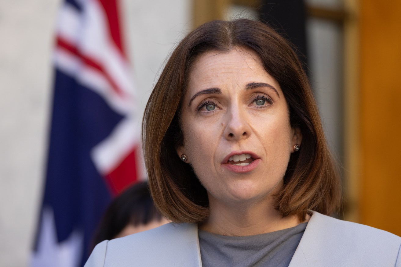 Anika Wells will say the government's reforms are crucial to ensuring safety for users online.