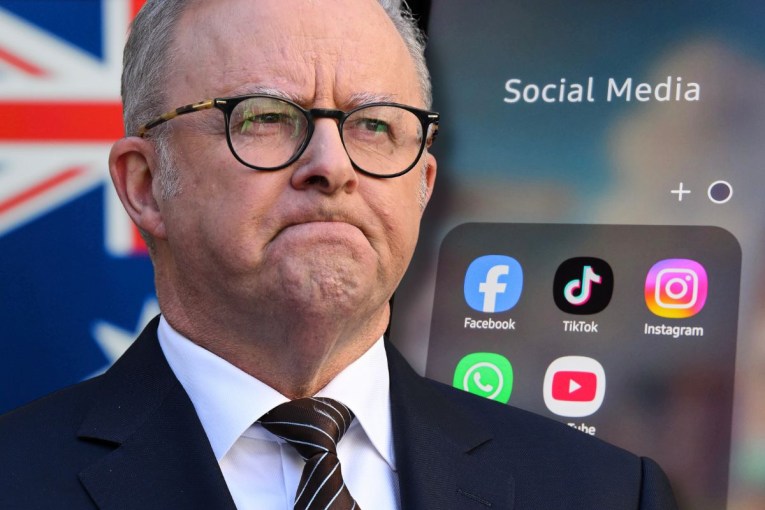 Albanese to take digital safety push to UN