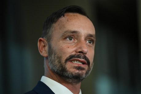 One Nation state leader admits drug use ‘mistakes’