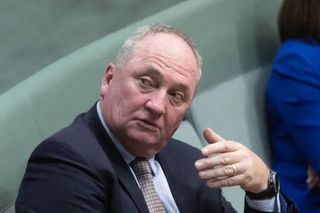 One Nation and super: Barnaby Joyce might be dumb, but he’s no idiot