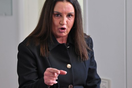 Lambie blasts Hanson as cartoon anger grows