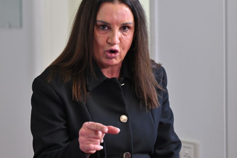 ‘Lowest bit of life’: Lambie blasts Hanson as cartoon anger grows