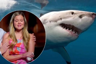 Shark drones make for a safer summer but no guarantees