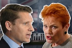 Pauline Hanson doubles down over ‘traitor’ cartoon