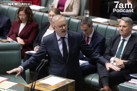 Did the Prime Minister dabble in pork barrelling?