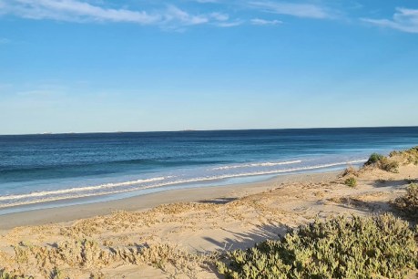 Man in serious condition after WA shark attack