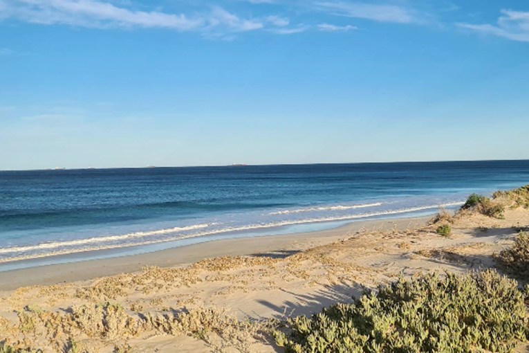Man in serious condition after WA shark attack
