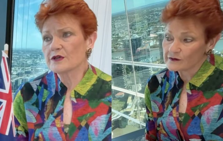 'Most primitive': Hanson Indigenous slur emerges