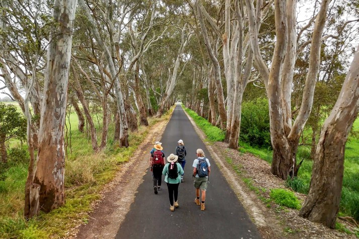 Walk Australiaâs answer to the Camino de Santiago