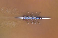 Croc habitat confirmed as Olympics rowing venue