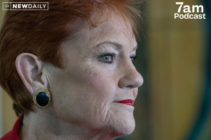 How Pauline Hanson might have finally gone too far