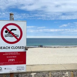 Man missing after suspected fatal shark attack