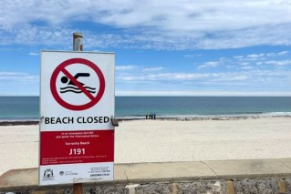 Man feared dead after horrific shark attack at popular beach