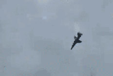 Video: Fighter jet narrowly misses homes in fiery crash