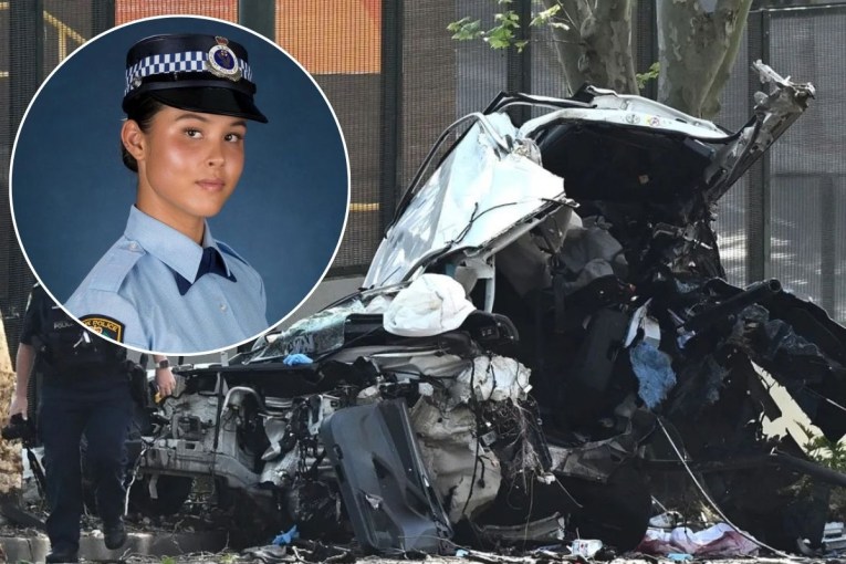 On-duty police officer dies after car crashes into tree